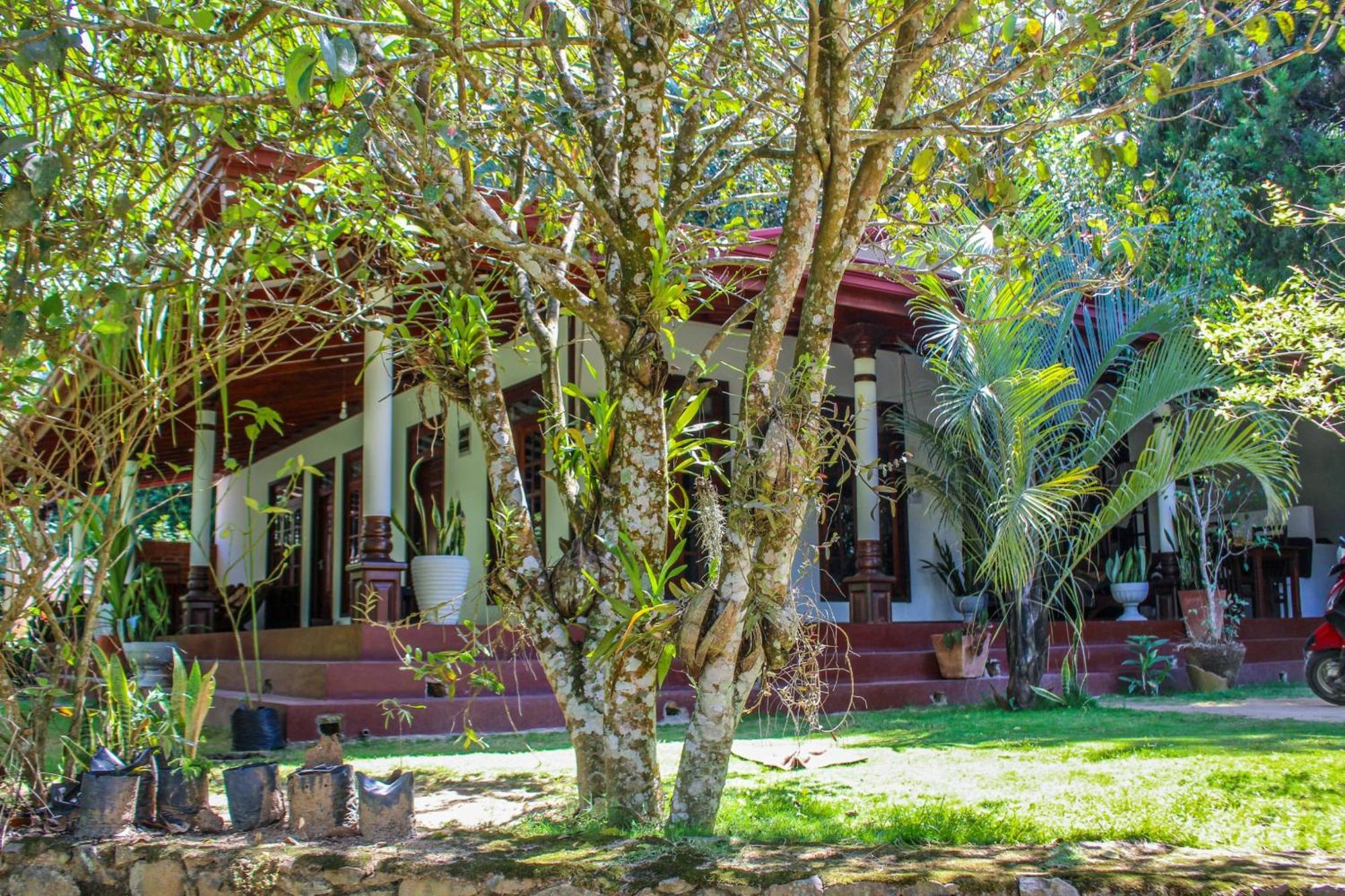 Lavender Homestay Элла Экстерьер фото